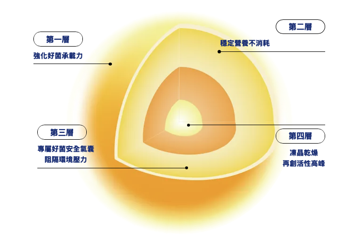 大研生醫1000億益生菌包埋圖